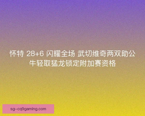 怀特 28+6 闪耀全场 武切维奇两双助公牛轻取猛龙锁定附加赛资格